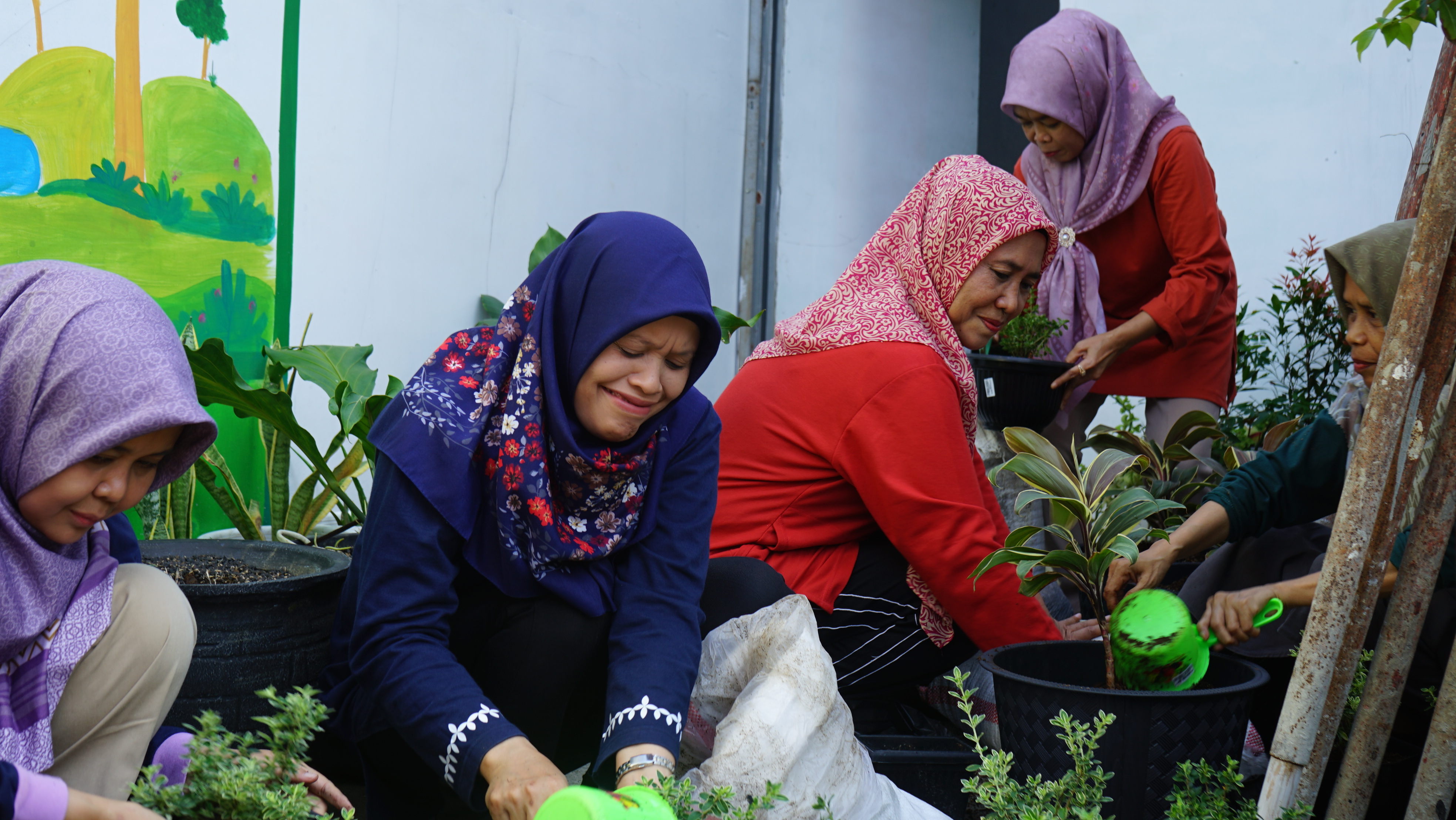 Merawat tanaman hias