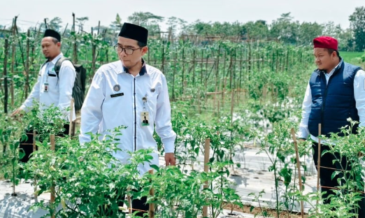 Dampak nyata Urab mendoan