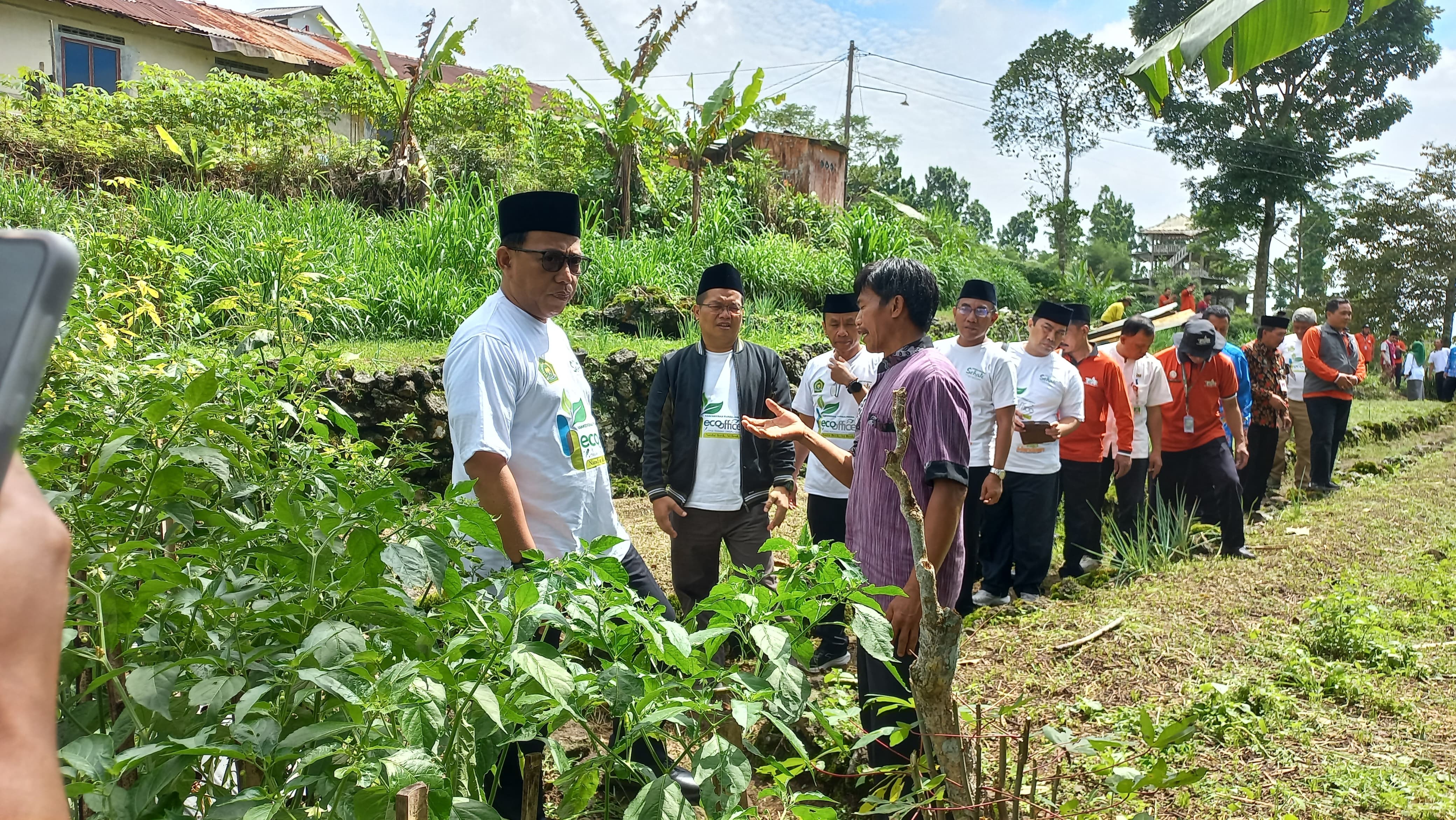 Tinjau lahan urab mendoan