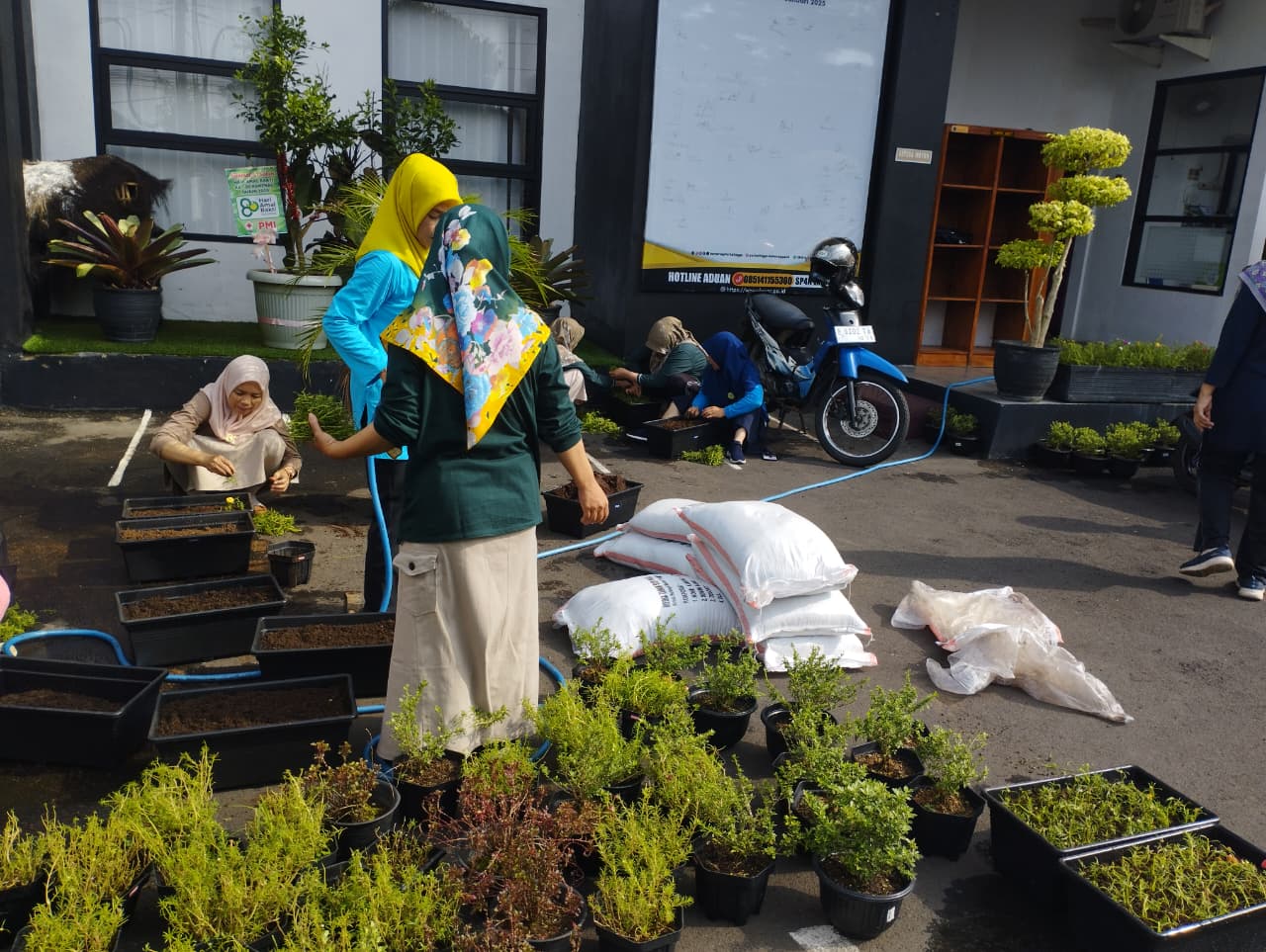Gotong royong merawat tanaman, komitmen eco office
