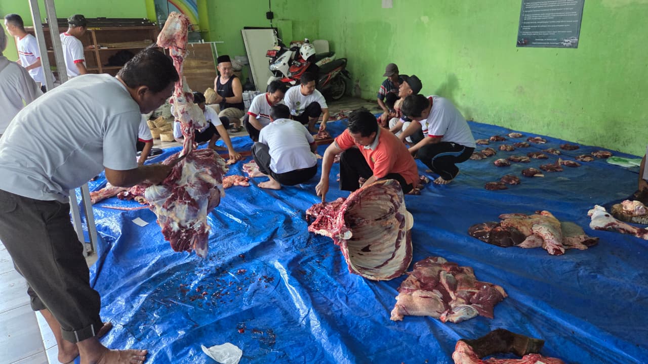 Proses pemotongan hewan kurban
