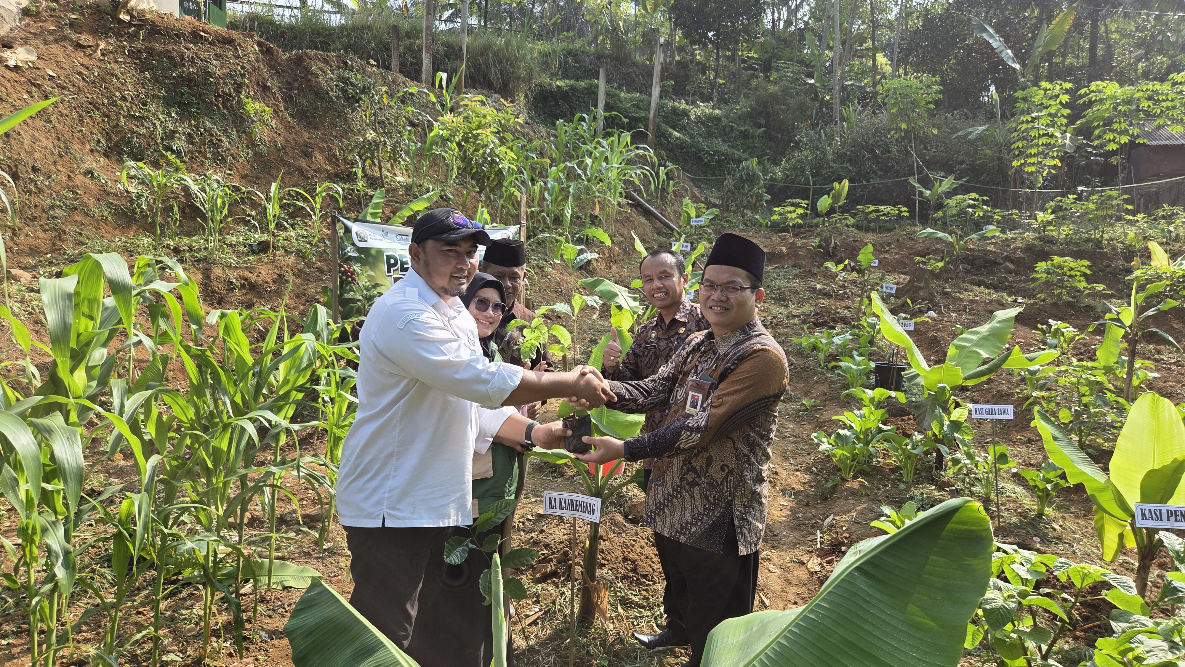 Melalui Penanaman Bibit Kopi Robusta Sinergi BPP Karangjambu, MIN 2 Purbalingga Gaungkan Madrasah Adiwiyata dan Implementasikan Eco Office