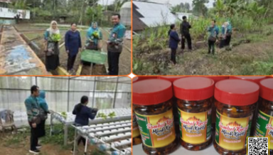 Keberhasilan penerima manfaat Program Inovasi Berdampak URAB MENDOAN (Umat Rajin Bertani Mendukung dan Menopang Kehidupan) kembali terlihat di Gereja Katel Klawau, Pengalusan.