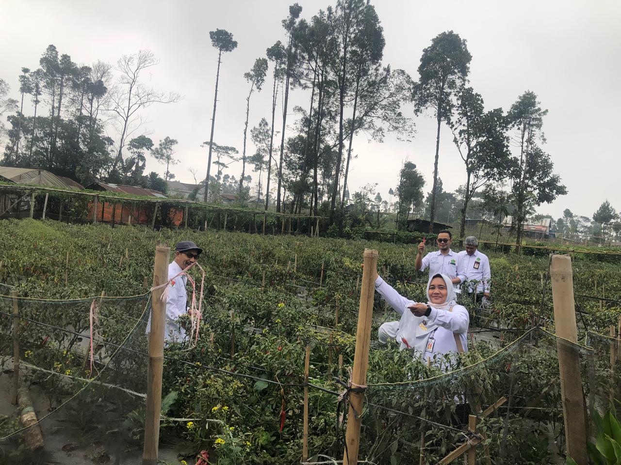 Verlap penerima program Urab mendoan